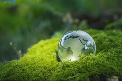 Nachhaltige Studiengänge decken ein breites Spektrum ab.